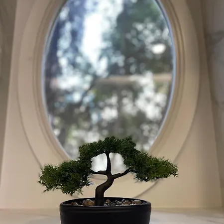 דירה Living Executive פונשל