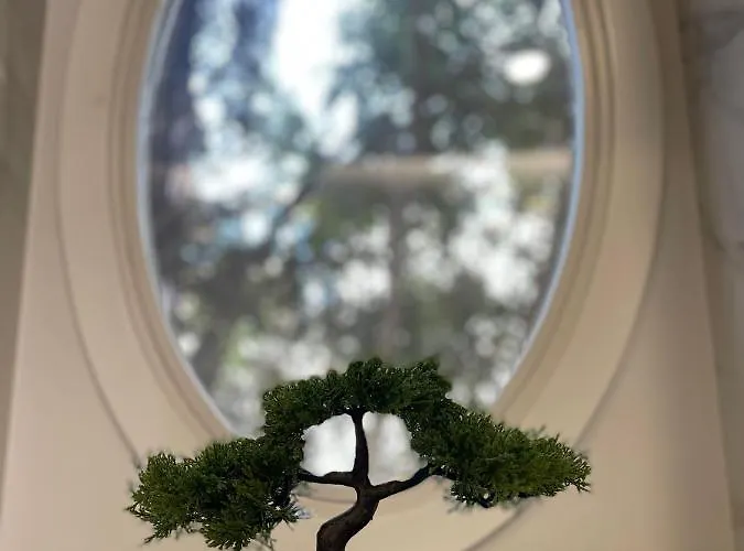 Apartment Living Executive Funchal (Madeira)